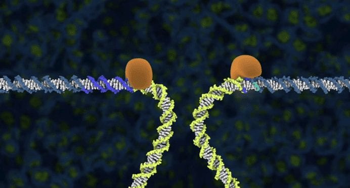 4 de março. Uma equipe de pesquisadores liderados pela cientista Jennifer Doudna, da Universidade da Califórnia, identifica uma enzima que permite alterar um genoma e pode ajudar os cientistas, e um dia, quem sabe, os médicos, a evitar certas doenças genéticas em crianças e adultos.